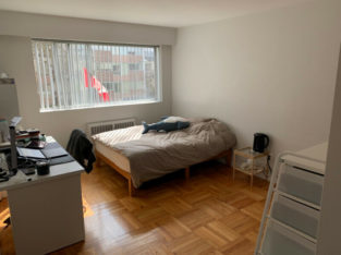 Room available from May 1st in Kerrisdale