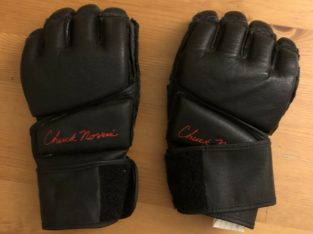 Chuck Norris MMA Gloves – Large