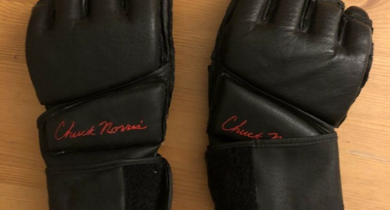 Chuck Norris MMA Gloves – Large