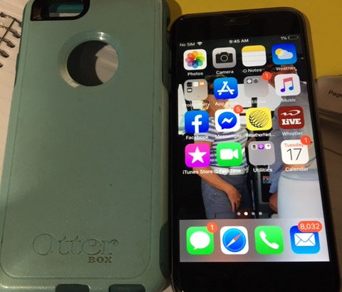 iPhone 6 16 GB and Otter Case