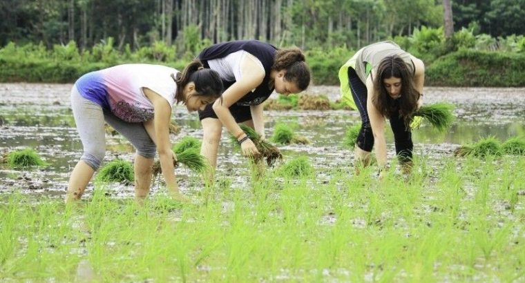 Sustainable agriculture and organic farming program in India