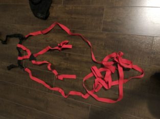 Toddler ski harness for learning