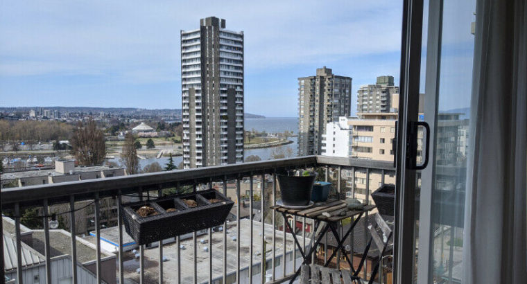 Spacious Downtown Apartment with Ocean View! (1 room), Vancouver