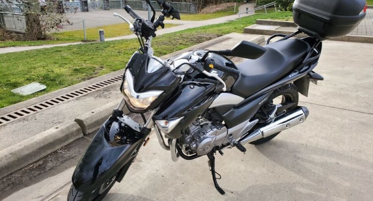 2017 Suzuki GW250 motorcycle