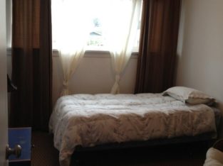 Furnished Room Available June 1