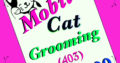 SAME DAY **. Mobile Cat Grooming