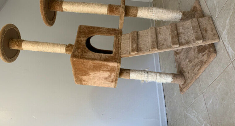 Cat tower and tunnel $30!!!!