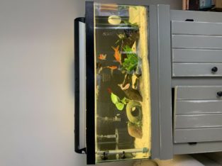 Wanted: 45gallon fish tank with stand