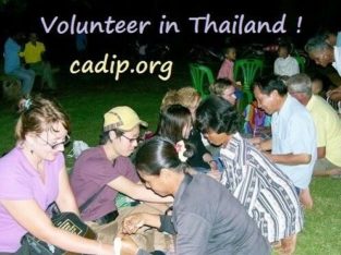 Celebrating Thai New Year and volunteering in Thailand