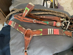 Western bridle, bit. reins and breast collar