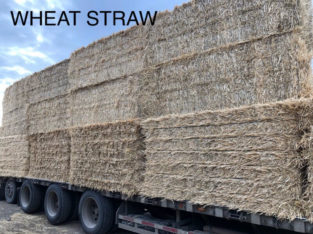 Straw Bales, Large Bales Only!