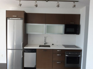 484sqft One bedroom and den high rise Condo