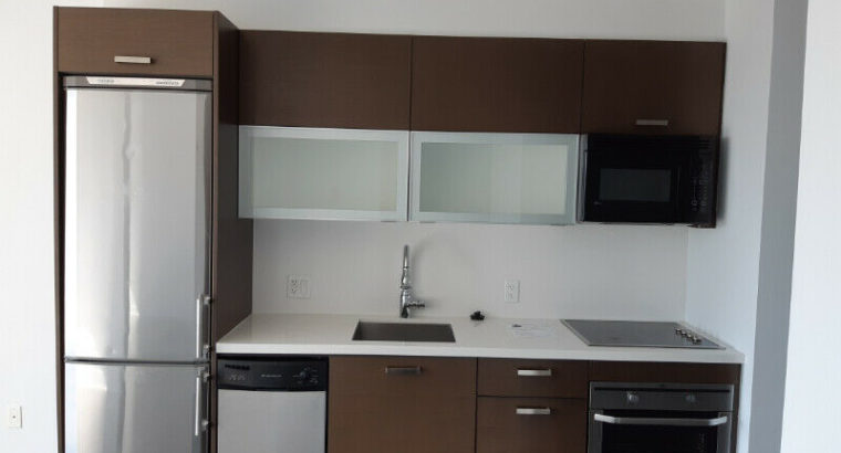 484sqft One bedroom and den high rise Condo