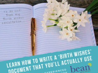 Birth Wishes / Birth Plan Workshop