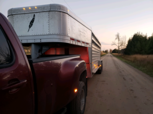 Livestock Trucking Available