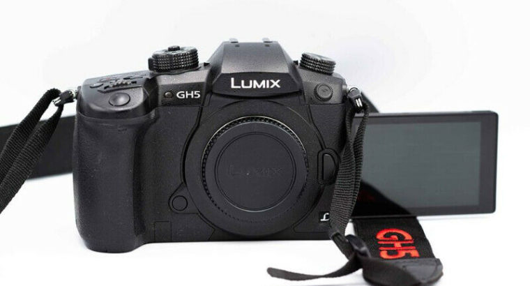 Panasonic Lumix GH5 with V-Log L, with 3 lenses