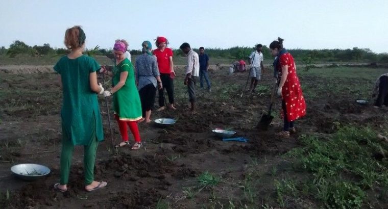 Sustainable agriculture and organic farming program in India