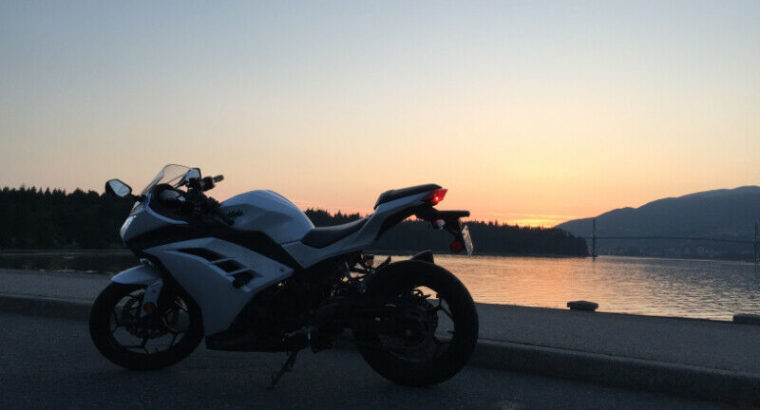 2015 Kawasaki Ninja EX300 ABS For Sale