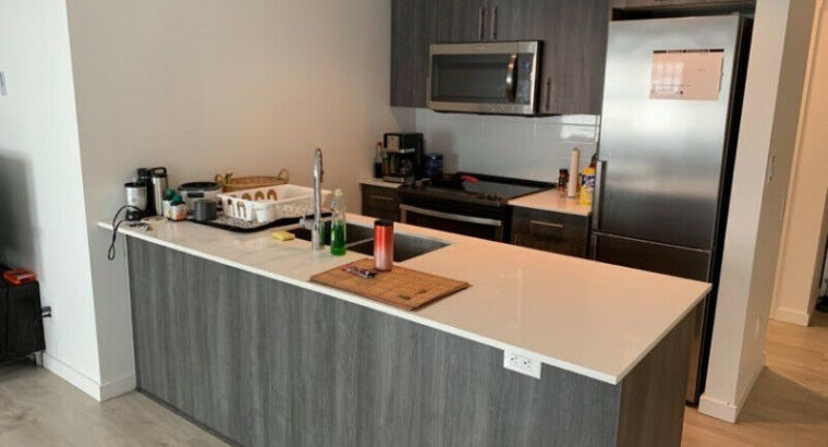 $2300 / 2br/2bath- Fully furnished apartment near VGH