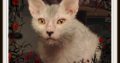 Kittens Spring 2020