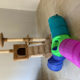 Cat tower and tunnel $30!!!!