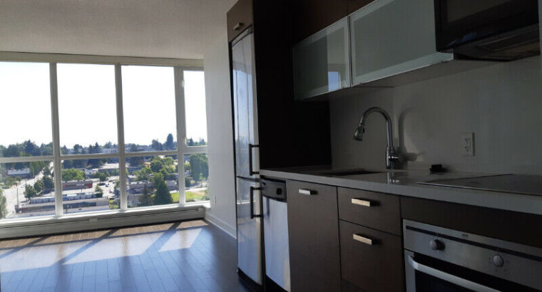 484sqft One bedroom and den high rise Condo