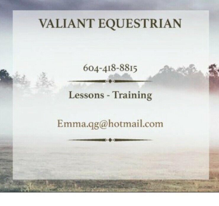 RIDING LESSONS