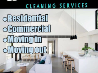 Cleaning service