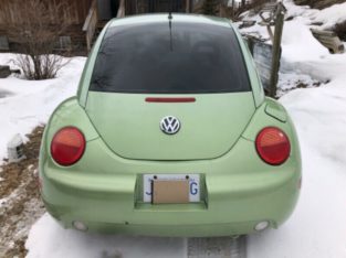 VW beetles