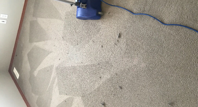 ‼️‼️Deep Carpet Steam Cleaning with Sanitation‼️