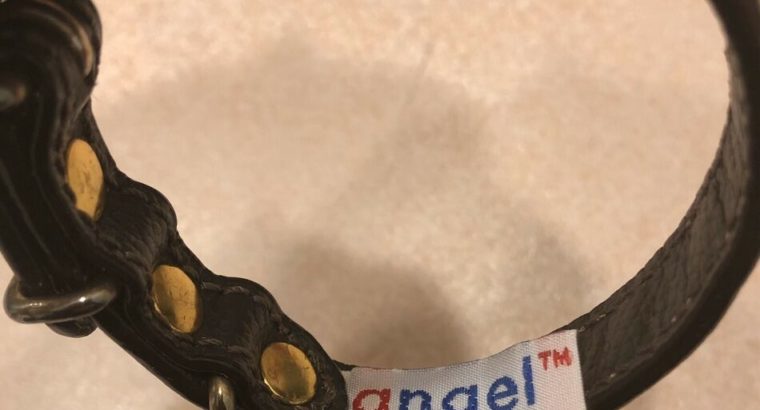 ANGEL Leather Dog Collar