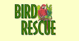 Wanted: Bird Rescue will take your unwanted feathered friends