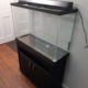 aquarium fish tank