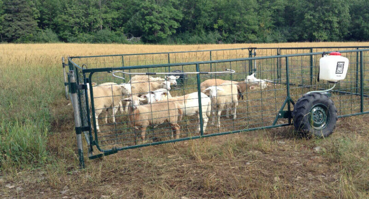 Movable fencing pen, perfect for sheep, goats, pigs or dogs