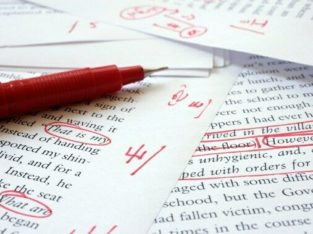 Professional editing and proofreading services