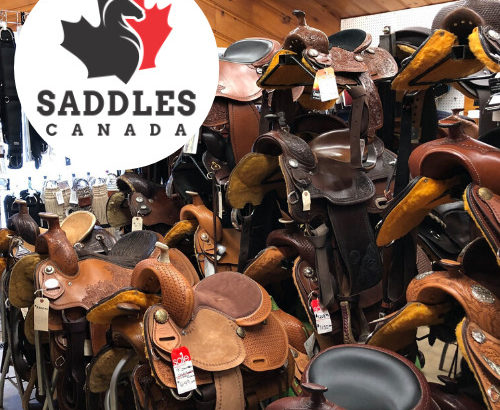 New & Used Western & English Saddles for Sale