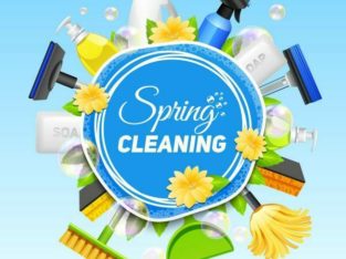 Lower mainland cleaning service !!