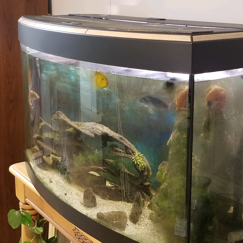 Aquarium For Sale ( Fish tank )