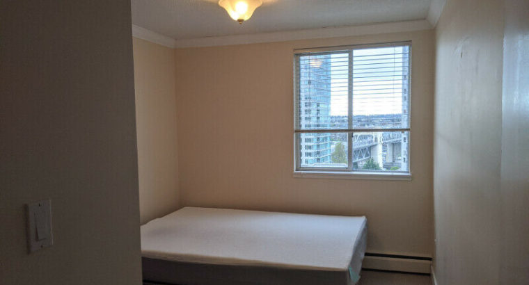 Spacious Downtown Apartment with Ocean View! (1 room), Vancouver