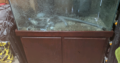 120 Gallons Fish Tank and Stand