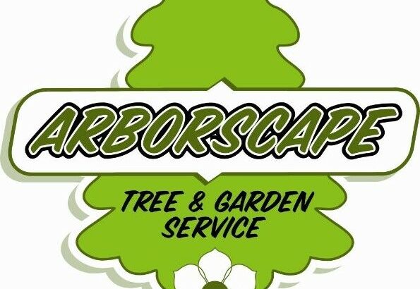 Tree Service and Landscaping