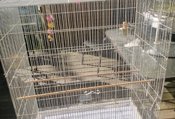 Large Bird cage