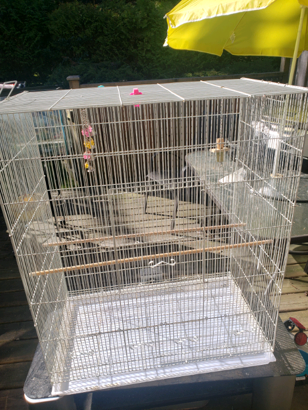 Large Bird cage