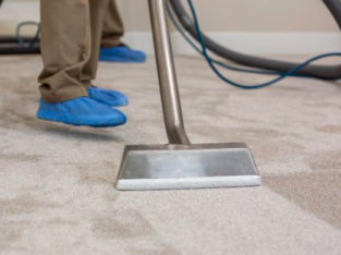 Best Carpet Cleaning Services Surrey