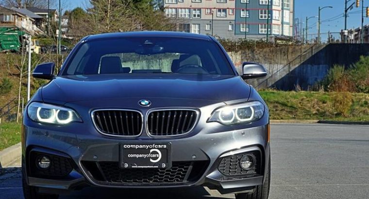 2019 BMW 2 Series 230i xDrive Coupe