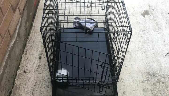 Dog Cages