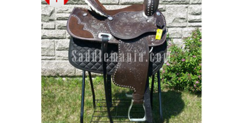 Western Horse Saddle and Tack