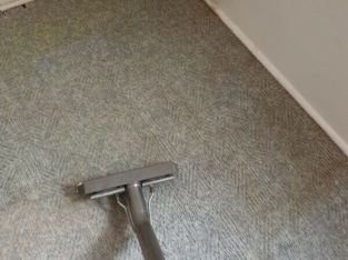 Best Carpet Cleaning Services Surrey