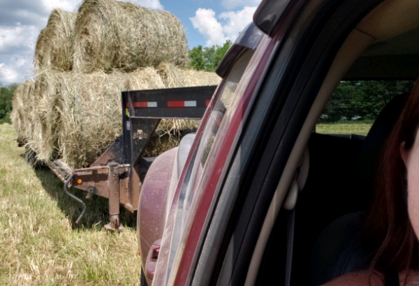 Livestock Trucking Available