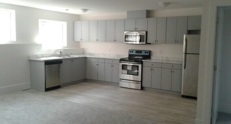 2 Bedroom, 1 Bath Basement Suite For Rent (Lower Mission)